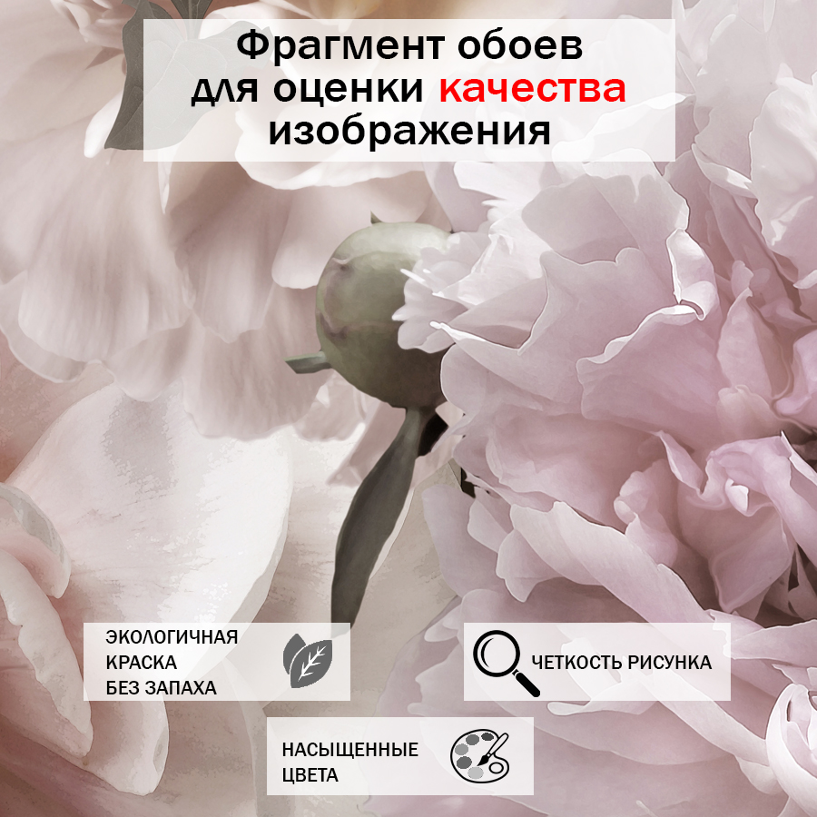 фотообои пышные пионы 13-086 фотообои пышные пионы 13-086